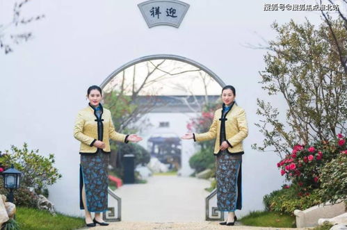 金庭复园楼盘详情 金庭复园官方网站 金庭复园千万别错过了