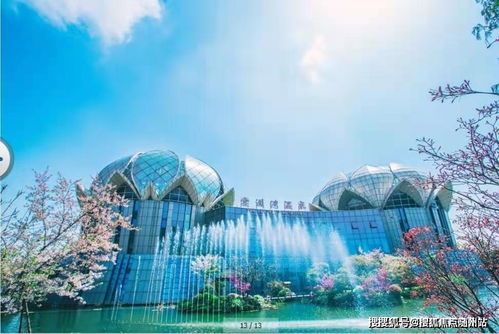 嘉善 售楼处电话 地址 在售面积 户型 图文分析 楼盘讲解